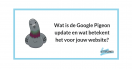Wat is de Google Pigeon update en wat betekent het voor jouw website